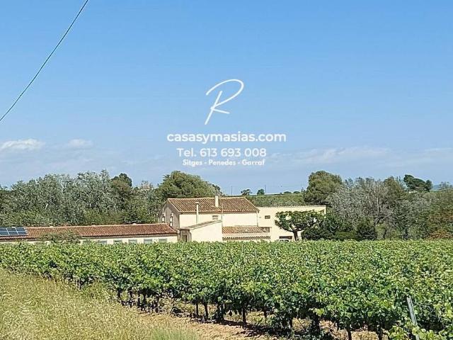 Terreno en venta en Alt Penedès, Catalunya