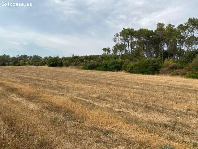 Local Comercial en venta en Baix Empordà, Catalunya