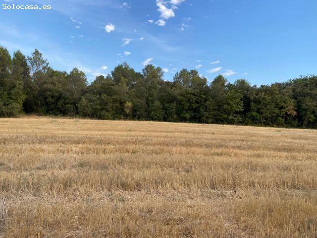 Local Comercial en venta en Baix Empordà, Catalunya
