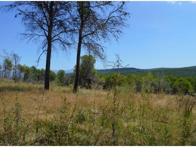 Local Comercial en venta en Baix Empordà, Catalunya