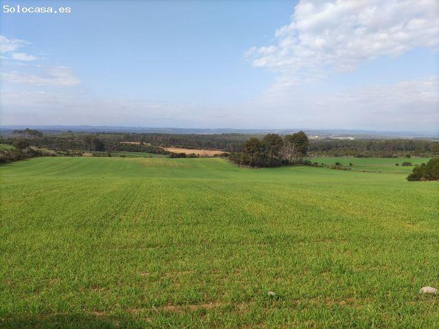 Local Comercial en venta en Baix Empordà, Catalunya