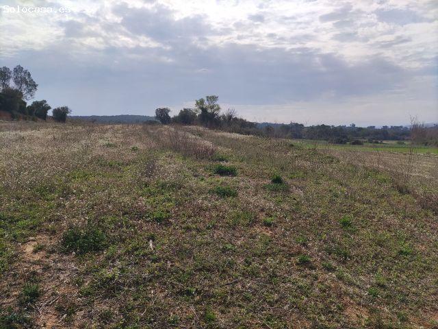 Local Comercial en venta en Baix Empordà, Catalunya