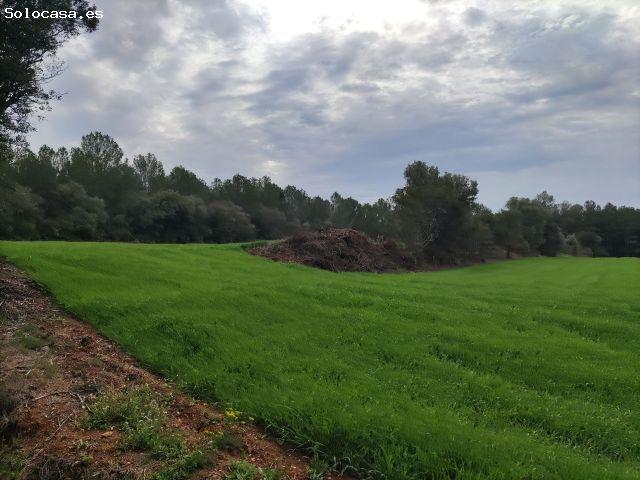 Local Comercial en venta en Baix Empordà, Catalunya