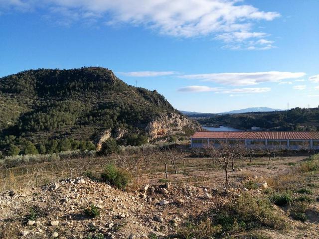 Terreno en venta en Xerta