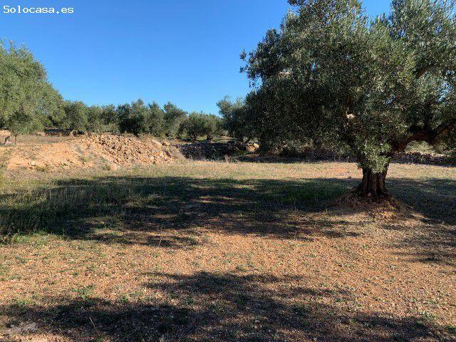 Local Comercial en venta en Xerta, Tarragona