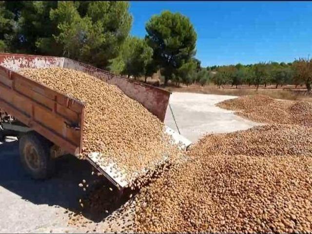 Terreno en venta en Altiplano, Murcia