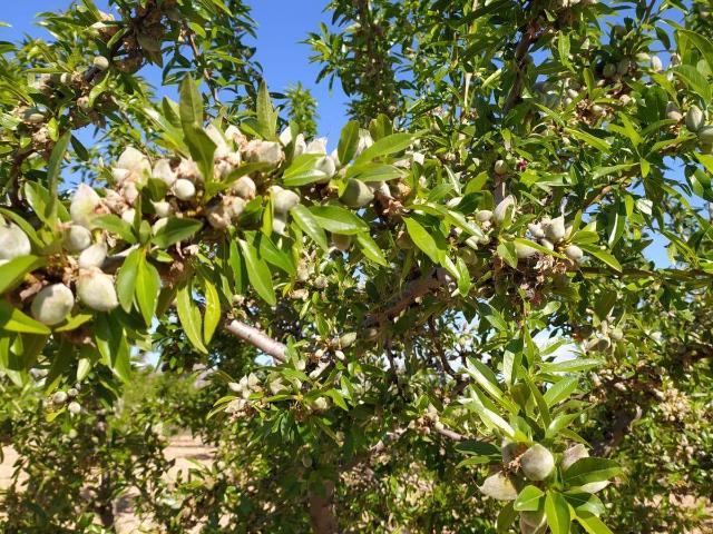 Terreno en venta en Altiplano, Murcia
