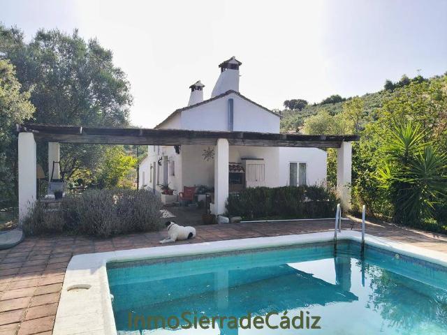 Terreno en venta en Sierra de Cádiz, Andalucía
