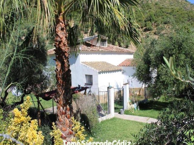 Terreno en venta en Sierra de Cádiz, Andalucía
