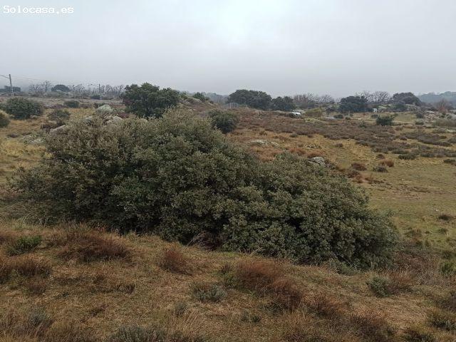 Local Comercial en venta en Zarzalejo, Madrid