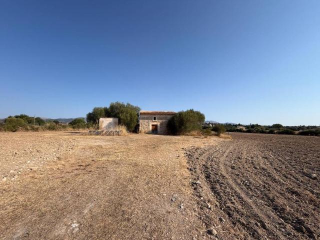 Terreno en venta en Crist Rei, Raiguer