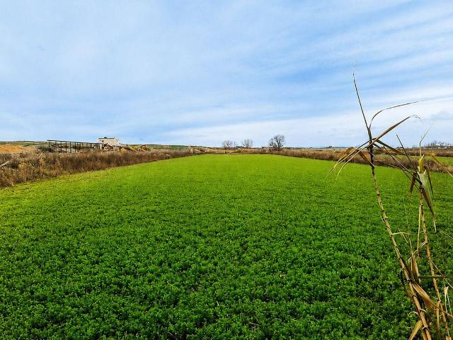 Terreno en venta en Zaragoza, Aragón