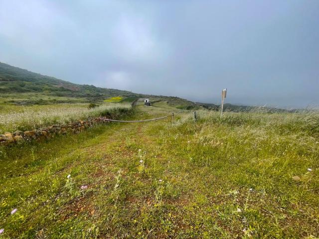 Casa Rural en venta en Pasadilla, Ingenio