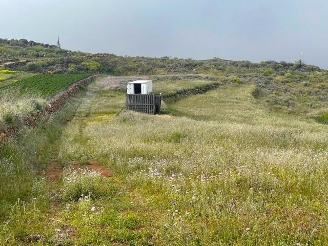 Casa Rural en venta en Pasadilla, Ingenio