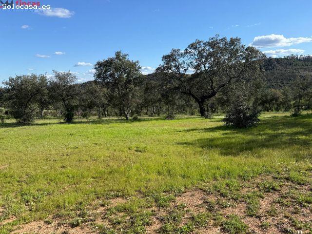 Local Comercial en venta en Sierra de Huelva, Andalucía