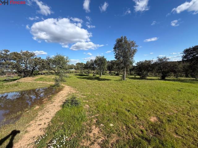 Terreno en venta en Sierra de Huelva, Andalucía