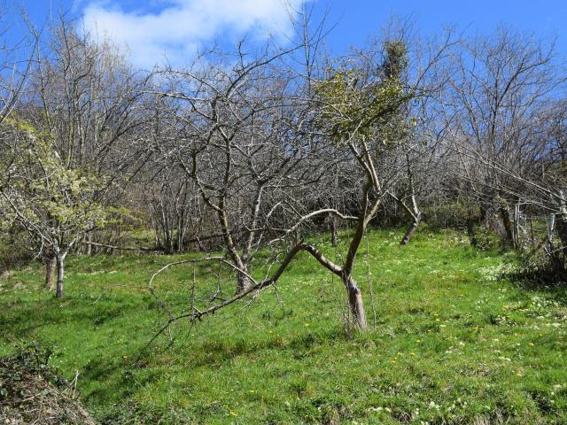 Casa Rural en venta en Ponga, Asturias