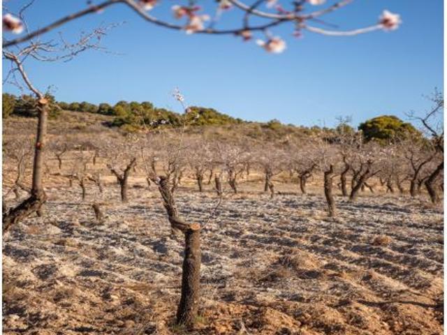 Local Comercial en venta en Láujar De Andarax, Andalucía