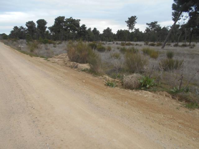 Casa Rural en venta en Villanueva De Gómez, Castilla y León