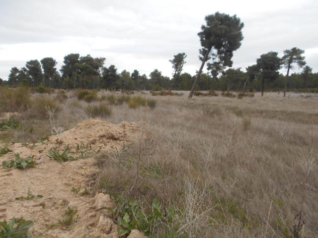 Casa Rural en venta en Villanueva De Gómez, Castilla y León