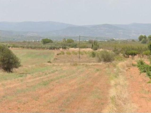 Local Comercial en venta en la Plana Alta, Valencia