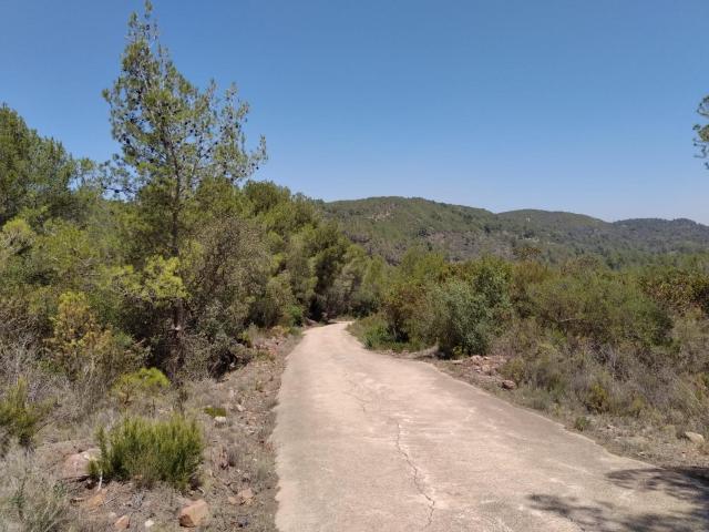Terreno en venta en la Plana Alta, Valencia