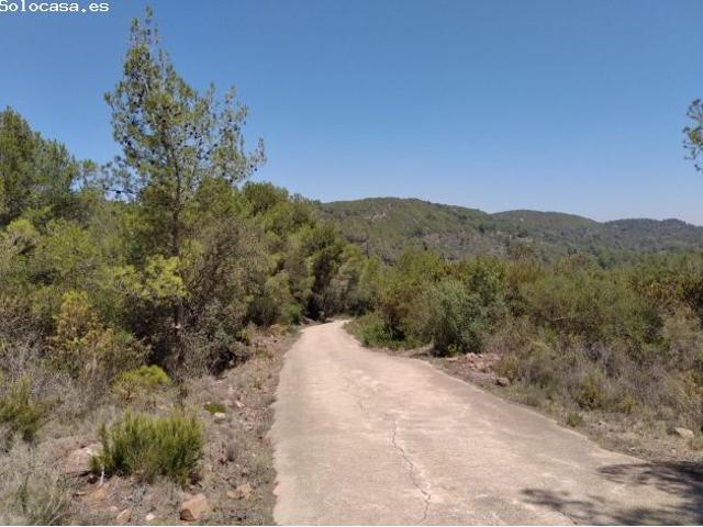 Local Comercial en venta en la Plana Alta, Valencia