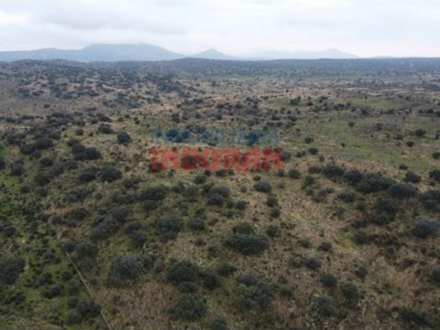 Casa en venta en Villar Del Pedroso, Extremadura