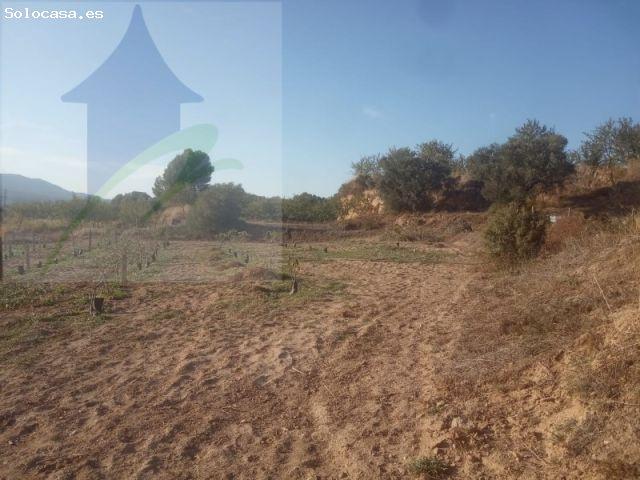 Casa en venta en Vinebre