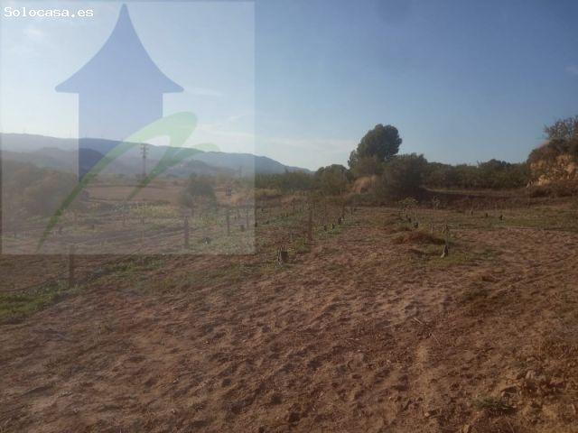 Casa en venta en Ribera d'Ebre, Catalunya