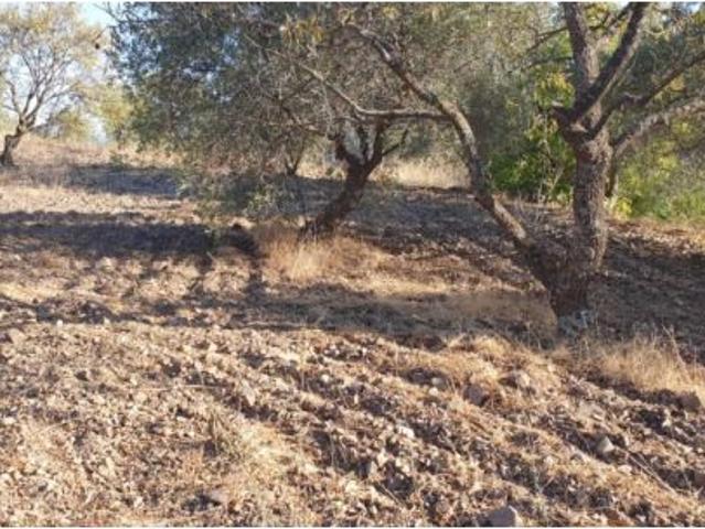 Local Comercial en venta en Sierra de las Nieves, Andalucía