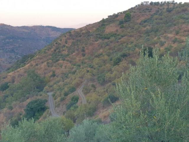 Terreno en venta en Yunquera