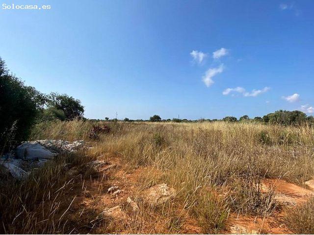 Local Comercial en venta en Migjorn, Baleares