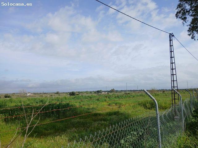 Local Comercial en venta en Trigueros, Huelva