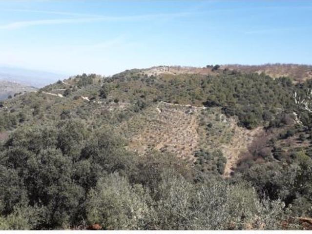 Finca en venta en Yunquera De Henares, Guadalajara