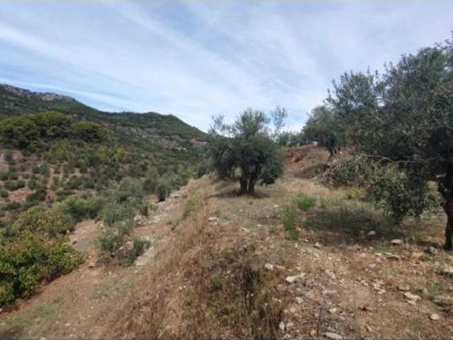 Finca en venta en Sierra de las Nieves, Andalucía
