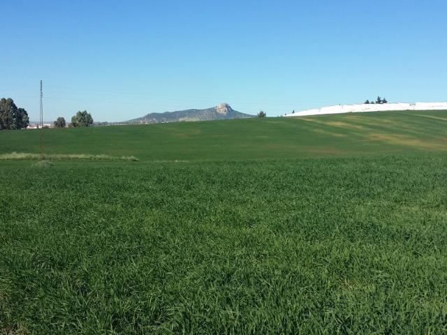 Chalet en venta en Peñarroya-pueblonuevo, Córdoba