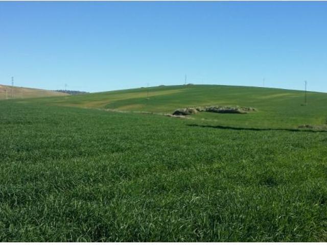 Local Comercial en venta en Peñarroya-pueblonuevo