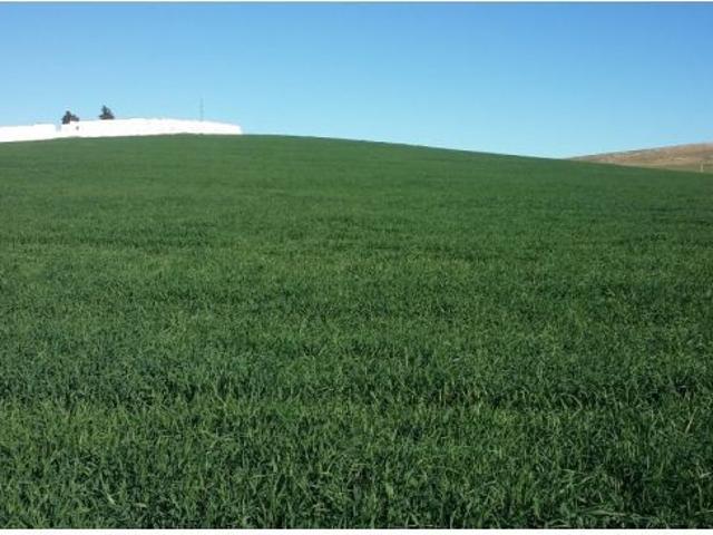 Local Comercial en venta en Peñarroya-pueblonuevo, Andalucía