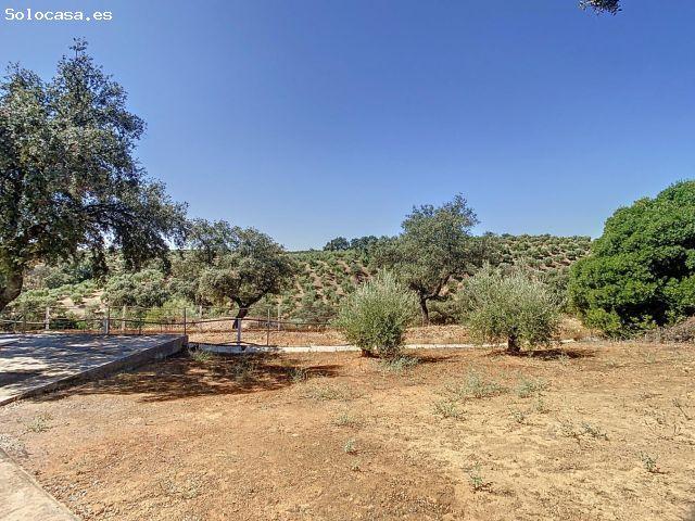 Casa en venta en Adamuz, Andalucía