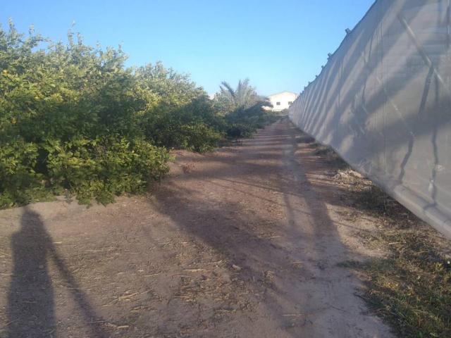 Terreno en venta en Urbanización Las Kalendas, Oriental