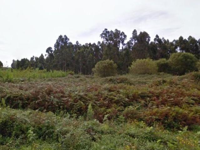Local Comercial en venta en O Sequeiro, Ferrol
