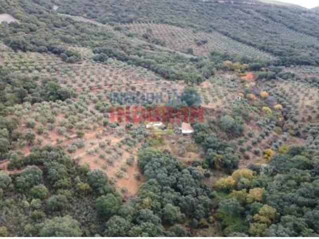 Casa en venta en Castañar De Ibor, Extremadura