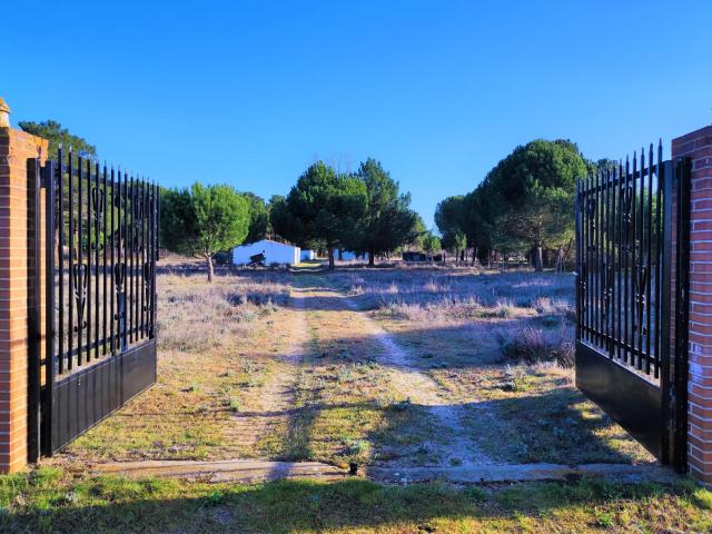 Villa en venta en La Pedraja De Portillo
