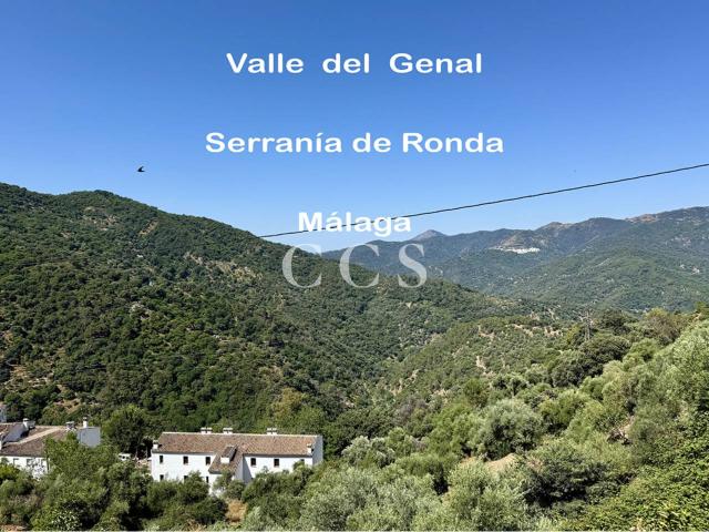 Terreno en venta en Jubrique