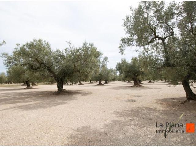 Local Comercial en venta en Montsià, Catalunya