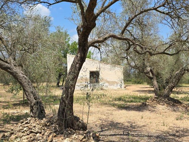 Terreno en venta en Montsià, Catalunya