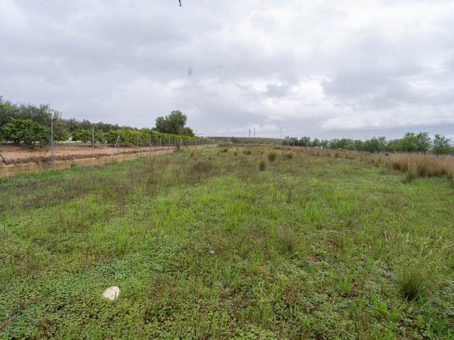 Terreno en venta en Alhaurín El Grande, Barrio de San Antón