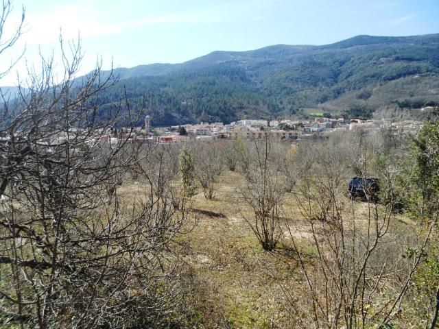 Terreno en venta en Amer, Urbanització Solivent