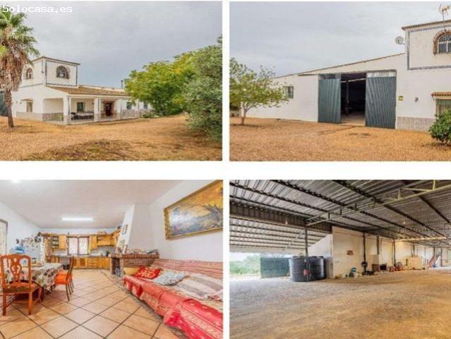 Local Comercial en venta en La Campana, Andalucía